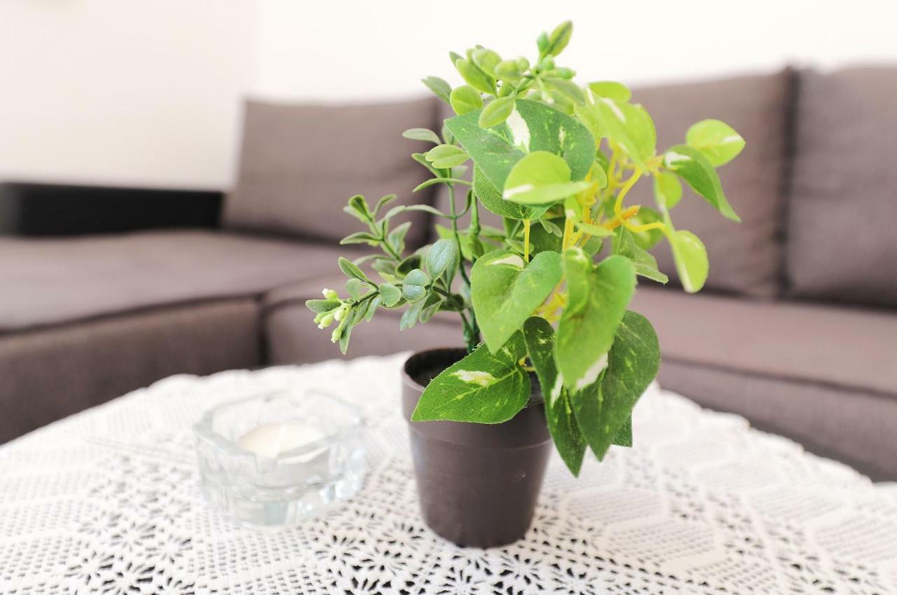 Marijana Apartman